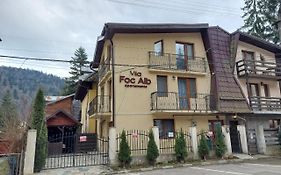 Vila Foc Alb Apartamente-Busteni